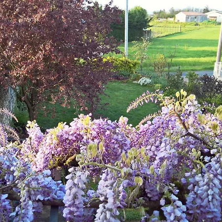 Homestay szállás Les Glycines