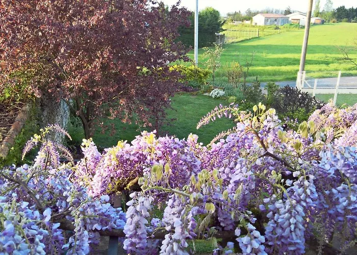 Séjour chez l'habitant Les Glycines